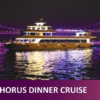 Bosphorus Dinner Cruise Tour